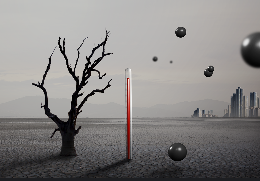 그린열매 나눔캠페인