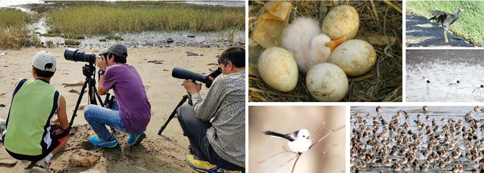 강화도 생태 평화지도 만들기 